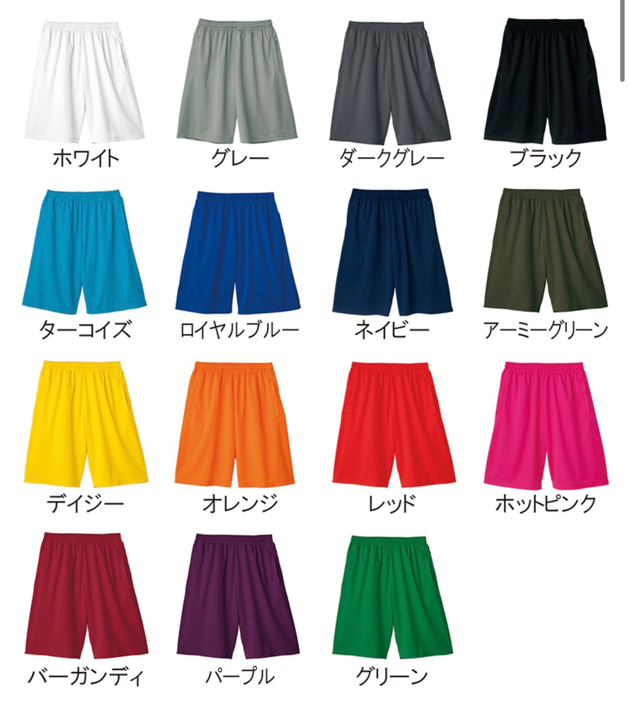 【VoLatricks】Shorts Pants